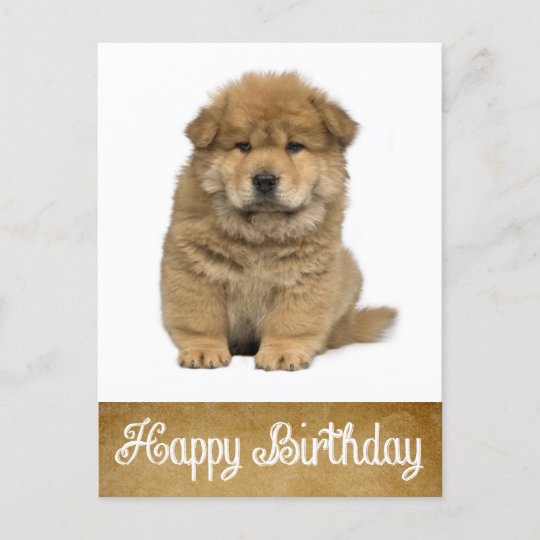 happy birthday chow welpe hund postkarte zazzle de