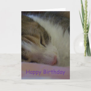 Happy Birthday Christlich Card Cat Karte