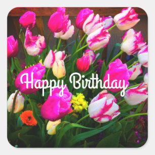 Happy Birthday Christmas Dream and Affaire #1-1 Quadratischer Aufkleber