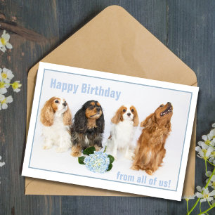 Happy Birthday Co-Worker Cavalier King Charles Dog Karte