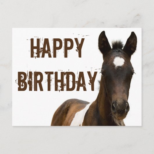 Happy Birthday Colt Horse Postkarte (Vorderseite)