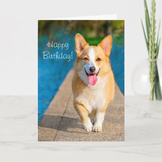 Happy Birthday Corgi Dog Karte (Vorderseite)