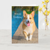 Happy Birthday Corgi Dog Karte (Gelbe Blume)