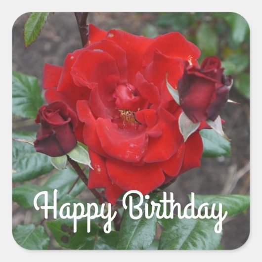 Happy Birthday Crimson Bouquet Rose #1 Stickers (Vorderseite)