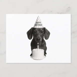 Happy Birthday Dackel Feiertagspostkarte