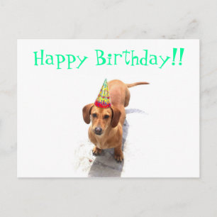 Happy Birthday Dackel Postcard Postkarte