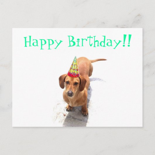 Happy Birthday Dackel Postcard Postkarte (Vorderseite)