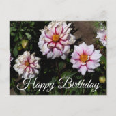 Happy Birthday Dahlia Edge of Joy #1 Postcard Postkarte (Vorderseite)