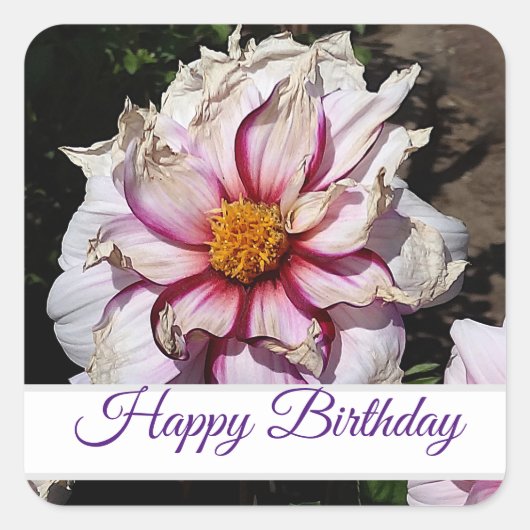 Happy Birthday Dahlia Edge of Joy #1 Stickers (Vorderseite)