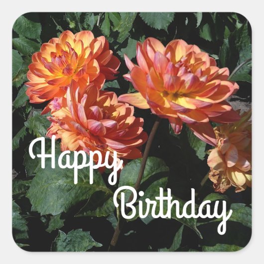 Happy Birthday Dahlia Pam Howden #1 Stickers (Vorderseite)