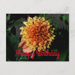 Happy Birthday Dahlia Sandia Brocade #1 Postkarte