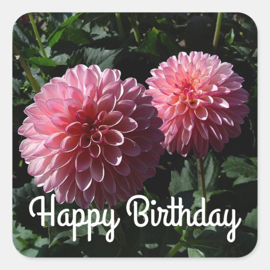 Happy Birthday Dahlia Valley Porcupine #1 Stickers (Vorderseite)
