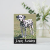 Happy Birthday Dalmatiner Puppy Dog Lover Postkarte (Stehend Vorderseite)