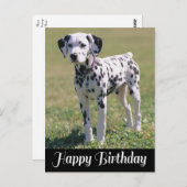 Happy Birthday Dalmatiner Puppy Dog Lover Postkarte (Vorne/Hinten)
