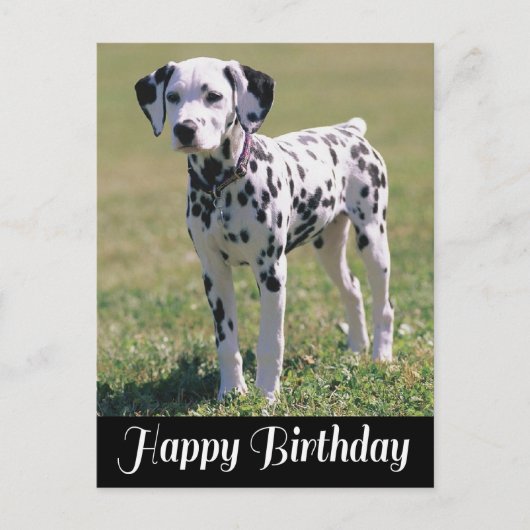 Happy Birthday Dalmatiner Puppy Dog Lover Postkarte (Vorderseite)