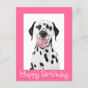 Happy Birthday Dalmatiner Puppy Dop Card Postkarte