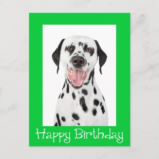Happy Birthday Dalmatiner Puppy Dop Card Postkarte (Vorderseite)