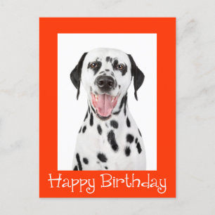Happy Birthday Dalmatiner Puppy Dop Card Postkarte