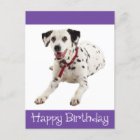 Happy Birthday Dalmatiner Puppy Dop Card