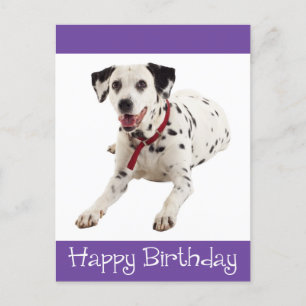 Happy Birthday Dalmatiner Puppy Dop Card Postkarte