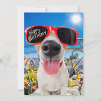 Happy Birthday Dawg Dog in Sonnenbrille