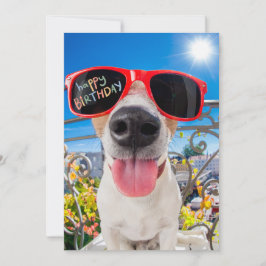 Happy Birthday Dawg Dog in Sonnenbrille Feiertagskarte