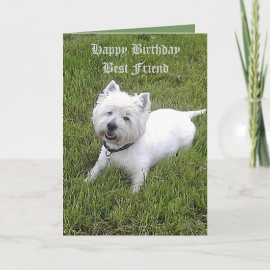 Happy Birthday Dear Friend Karte (Vorderseite)