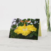 Happy Birthday Deep Yellow Hibiskus Card