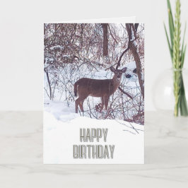 Happy Birthday Deer Foto Nature Card Karte