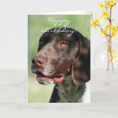 Happy Birthday Deutscher Kurzhahn Karte (Gelbe Blume)