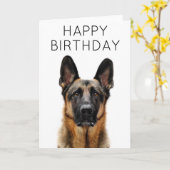 Happy Birthday | Deutscher Schäferhund Karte (Gelbe Blume)
