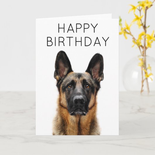 Happy Birthday | Deutscher Schäferhund Karte (Gelbe Blume)