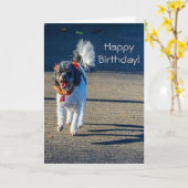 Happy Birthday Dog Karte (Gelbe Blume)