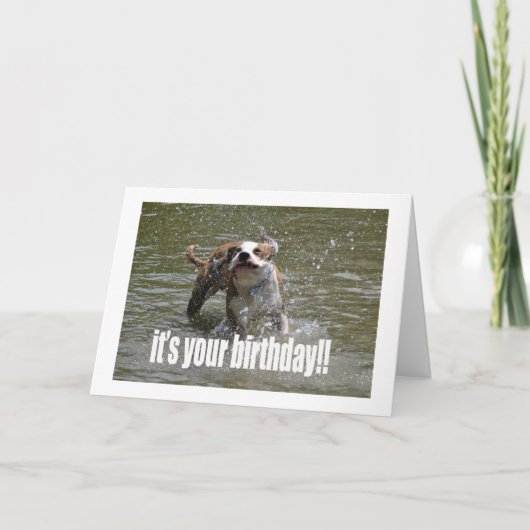 HAPPY BIRTHDAY DOG LOVER CARD KARTE (Vorderseite)