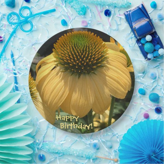 Happy Birthday Echinacea Pappteller (Party)