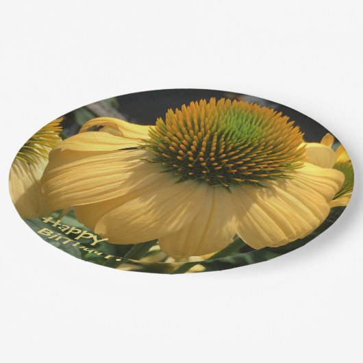 Happy Birthday Echinacea Pappteller (Schrägansicht)