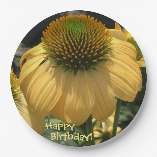 Happy Birthday Echinacea Pappteller (Vorderseite)