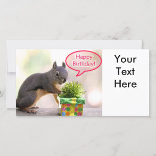 Happy Birthday Eichhörnchen