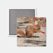 Happy Birthday Eichhörnchen Magnet (Vorderseite/Rückseite)