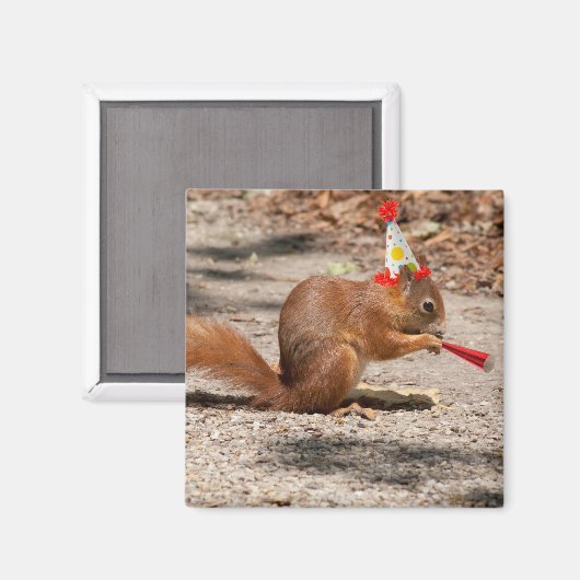 Happy Birthday Eichhörnchen Magnet (Vorderseite/Rückseite)