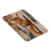 Happy Birthday Eichhörnchen Magnet (Rechte Seite)