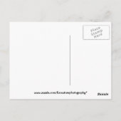 Happy Birthday Eichhörnchen mit Gegenwart Postkarte (Rückseite)