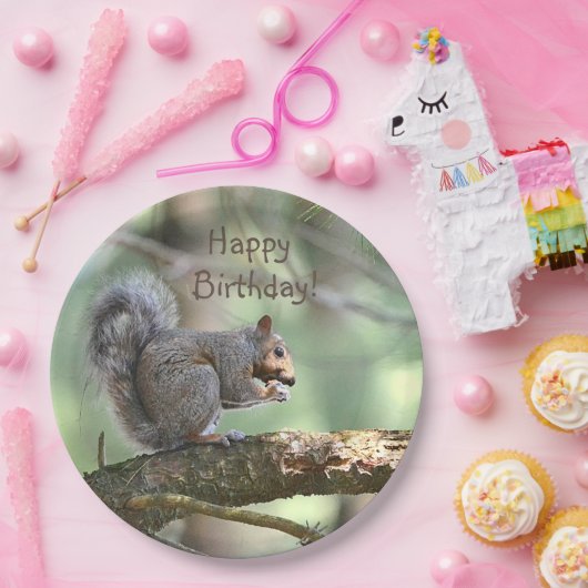 Happy Birthday Eichhörnchen Pappteller (Party)