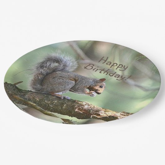 Happy Birthday Eichhörnchen Pappteller (Schrägansicht)