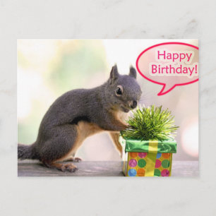Happy Birthday Eichhörnchen Postkarte