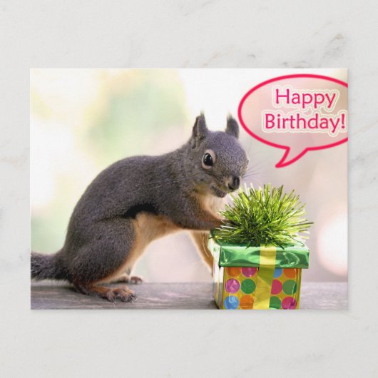 Happy Birthday Eichhörnchen Postkarte (Vorderseite)