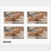 Happy Birthday Eichhörnchen Rechteckiger Aufkleber (Blatt)