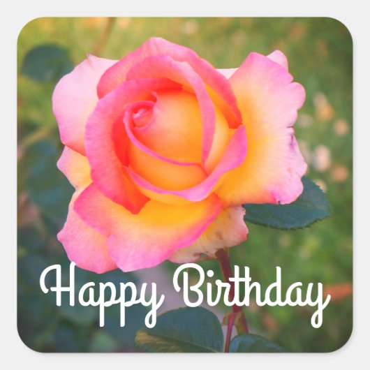 Happy Birthday Elle Rose #2 Stickers (Vorderseite)