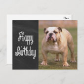 Happy Birthday English Bulldog Chalkboard Postkart Postkarte (Vorne/Hinten)
