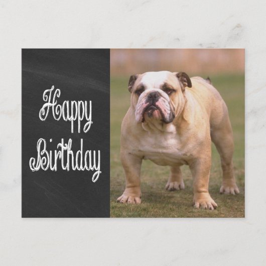 Happy Birthday English Bulldog Chalkboard Postkart Postkarte (Vorderseite)